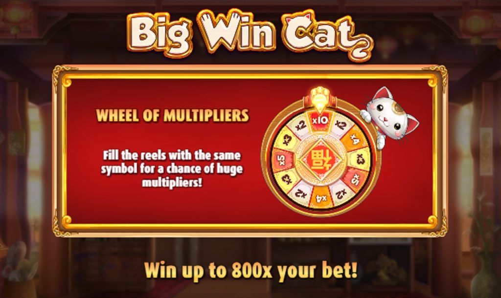 Big Win Cat