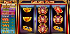 Golden Tiger